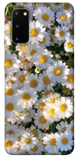 Чохол на Samsung Galaxy S20 Поле ромашок фото 1 з 1