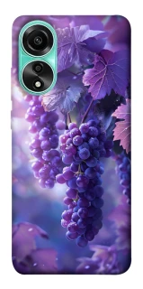 Чехол на Oppo A78 4G Bunch of grapes фото 1 из 1