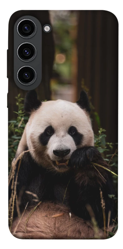 Чехол на Samsung Galaxy S23 Панда фото 1 из 1