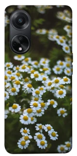 Чехол на Oppo A58 4G Ромашки v13 фото 1 из 1