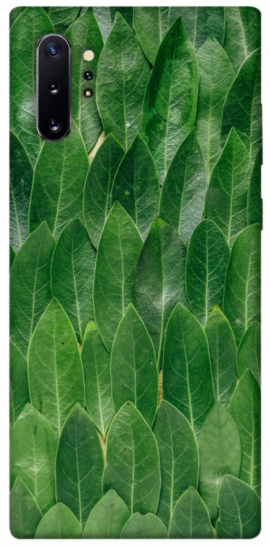 Чехол на Samsung Galaxy Note 10 Plus Листья фото 1 из 1