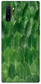 Чехол на Samsung Galaxy Note 10 Plus Листья фото 1 из 1