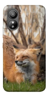 Чехол на ZTE Blade L220 Лиса фото 1 из 1