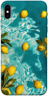 Чехол на Apple iPhone X (5.8") Lemon фото 1 из 1