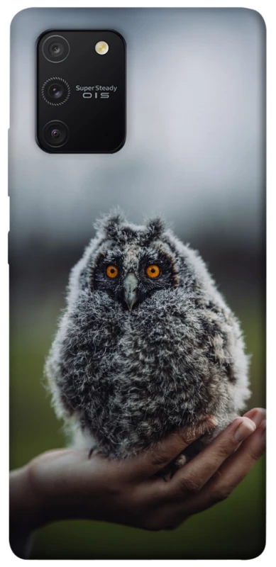 Чохол на Samsung Galaxy S10 Lite Совеня фото 1 з 1