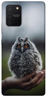 Чохол на Samsung Galaxy S10 Lite Совеня фото 1 з 1