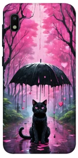 Чохол на Samsung Galaxy A10 (A105F) Black cat фото 1 з 1