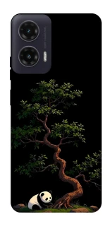 Чохол на Motorola Moto G35 Panda and tree фото 1 з 1