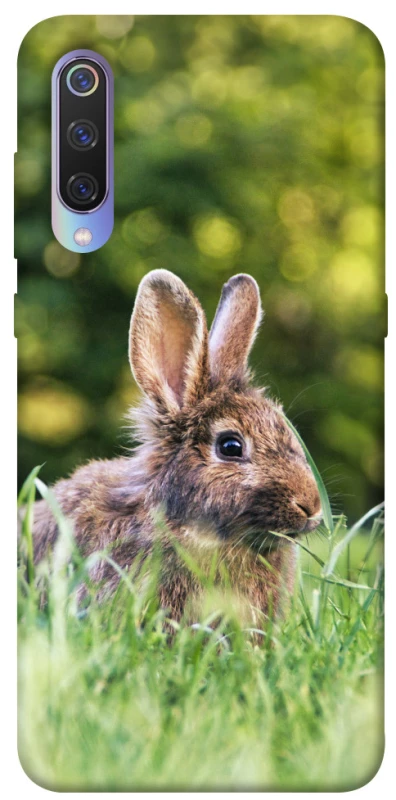 Чехол на Xiaomi Mi 9 Кролики фото 1 из 1