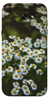 Чехол на Samsung A720 Galaxy A7 (2017) Ромашки v13 фото 1 из 1