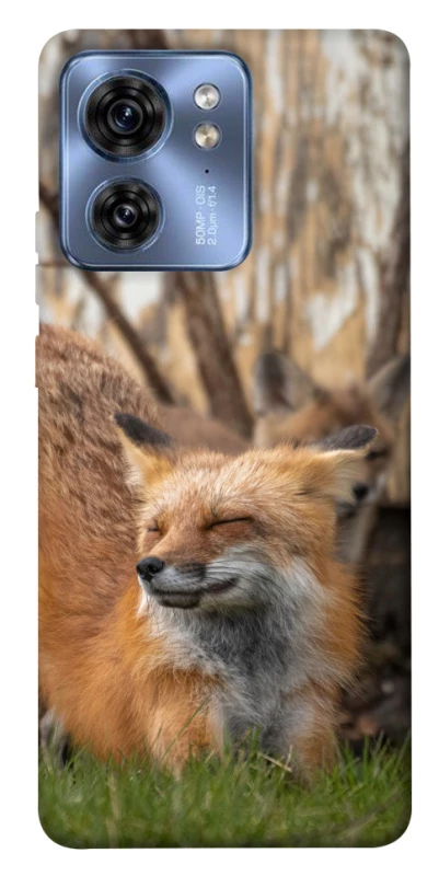 Чехол на Motorola Edge 40 Лиса фото 1 из 1
