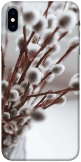 Чехол на Apple iPhone X (5.8") Magic фото 1 из 1