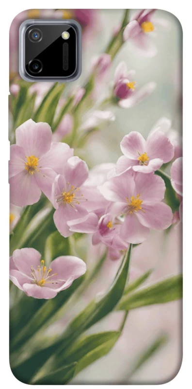 Чехол на Realme C11 Spring фото 1 из 1