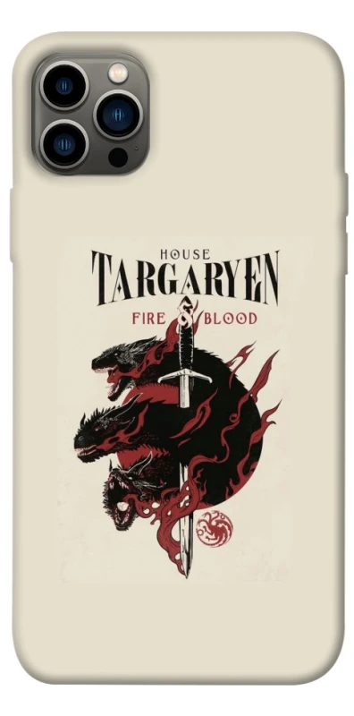 Чехол на Apple iPhone 12 Pro (6.1") House of the Dragon ver.4 фото 1 из 1