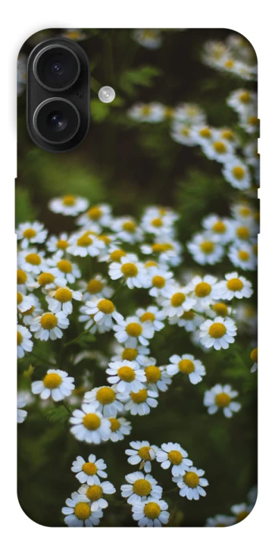 Чехол на Apple iPhone 16 Plus Ромашки v13 фото 1 из 1