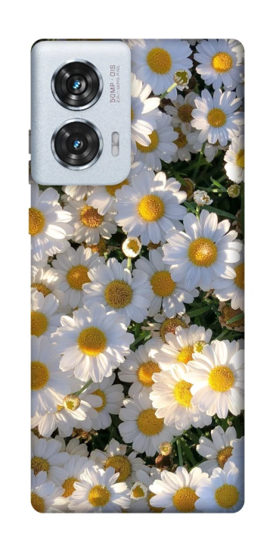Чехол на Motorola Edge 50 Fusion Поле ромашек фото 1 из 1