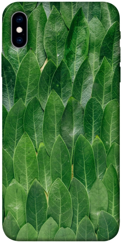 Чохол на Apple iPhone X (5.8") Листя фото 1 з 1