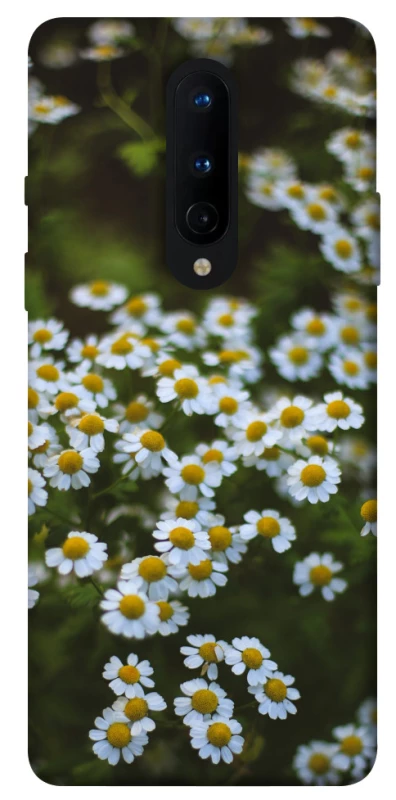 Чехол на OnePlus 8 Ромашки v13 фото 1 из 1