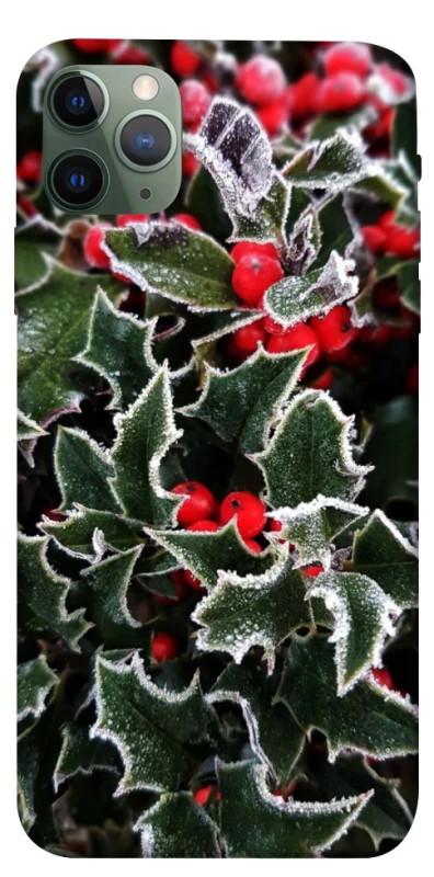 Чехол на Apple iPhone 11 Pro Max (6.5") Новогодний v32 фото 1 из 1