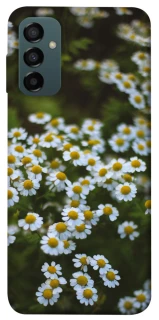 Чехол на Samsung Galaxy M14 5G Ромашки v13 фото 1 из 1