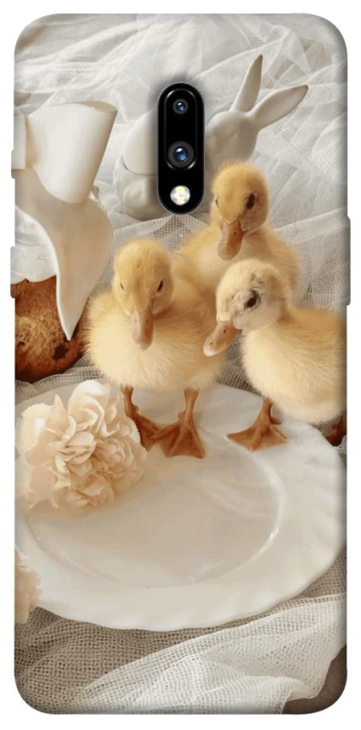 Чохол на OnePlus 7 Easter Vibes фото 1 з 1