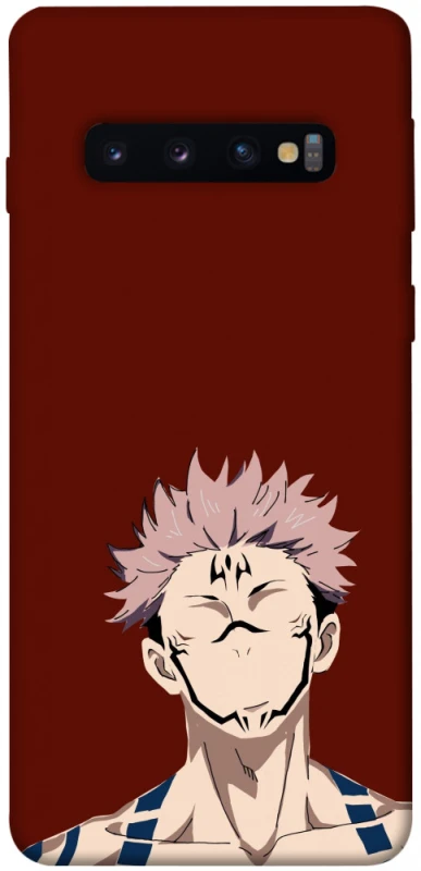 Чохол на Samsung Galaxy S10 Sakuna v3 фото 1 з 1