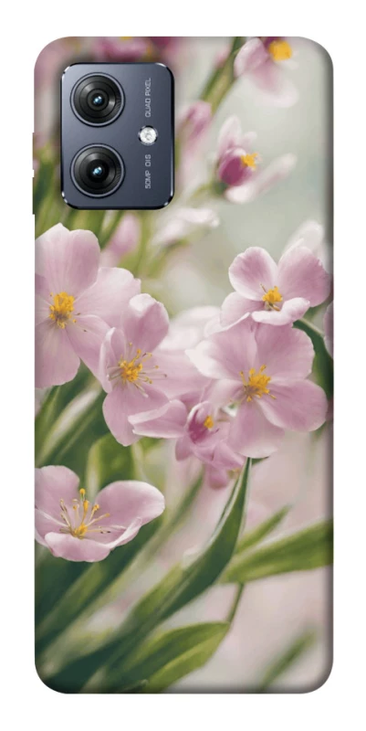 Чехол на Motorola Moto G54 Spring фото 1 из 1
