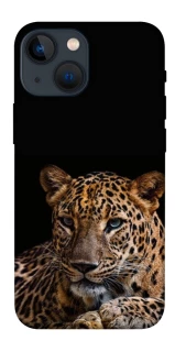 Чехол на Apple iPhone 13 mini (5.4") Leopard v4 фото 1 из 1