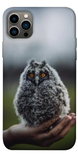 Чохол на Apple iPhone 12 Pro (6.1") Совеня фото 1 з 1