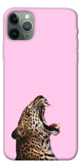 Чехол на Apple iPhone 11 Pro Max (6.5") Leopard Meow фото 1 из 1