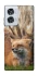 Чехол на Motorola Edge 50 Fusion Лиса фото 1 из 1