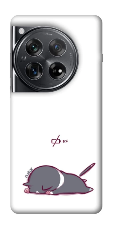 Чохол на OnePlus 12 The battery is dead фото 1 з 1