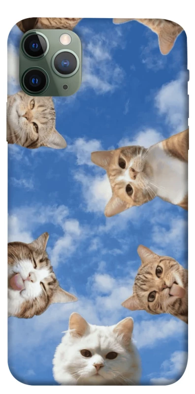 Чехол на Apple iPhone 11 Pro Max (6.5") Сats фото 1 из 1