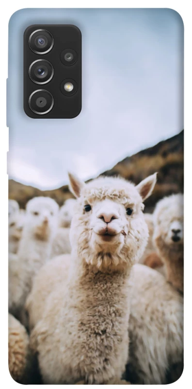 Чохол на Samsung Galaxy A72 4G / A72 5G Лама фото 1 з 1