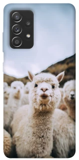 Чохол на Samsung Galaxy A72 4G / A72 5G Лама фото 1 з 1