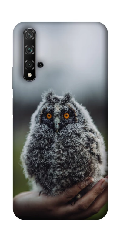 Чехол на Huawei Honor 20 / Nova 5T Совёнок фото 1 из 1