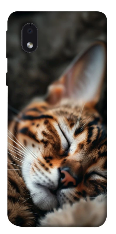 Чохол на Samsung Galaxy M01 Core / A01 Core Cat paws фото 1 з 1