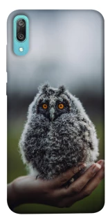 Чехол на Huawei Y6 Pro (2019) Совёнок фото 1 из 1
