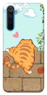 Чохол на Realme 6 Pro Cat the meow фото 1 з 1