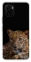 Чохол на Vivo Y15s Leopard v4 фото 1 з 1