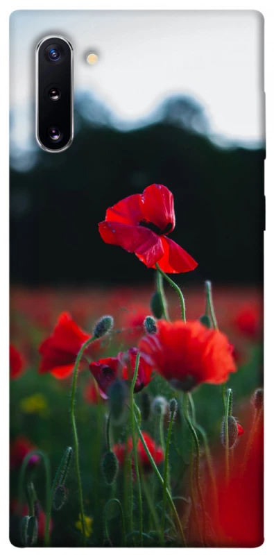 Чехол на Samsung Galaxy Note 10 Мак фото 1 из 1