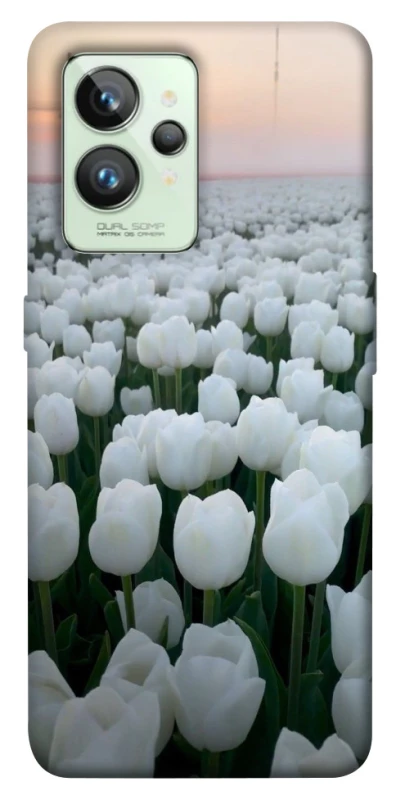 Чохол на Realme GT2 Flowers v1 фото 1 з 1