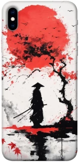 Чехол на Apple iPhone XS Max (6.5") Дух Японии фото 1 из 1