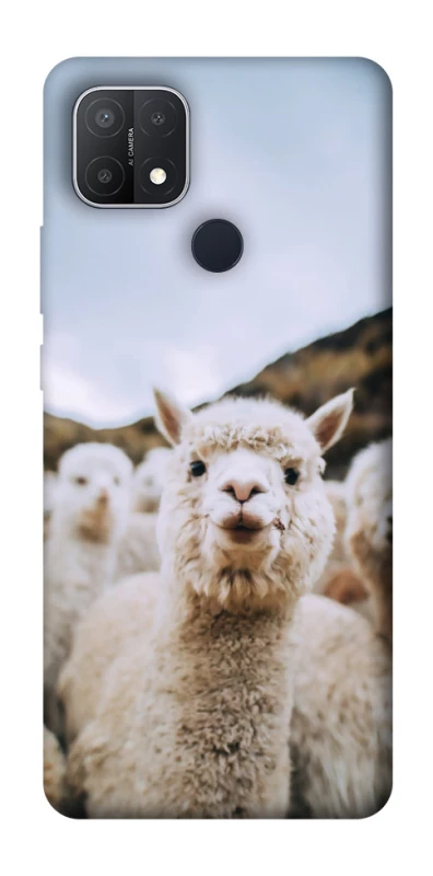 Чохол на Oppo A15s / A15 Лама фото 1 з 1