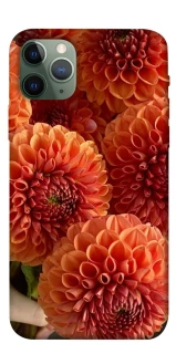 Чохол на Apple iPhone 11 Pro (5.8") Flower1 фото 1 з 1