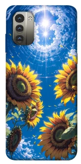 Чохол на Nokia G11 Sunflowers фото 1 з 1