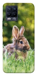 Чехол на Realme 8 Кролики фото 1 из 1