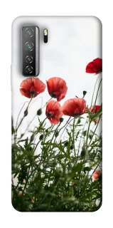 Чохол на Huawei Nova 7 SE Поле маків фото 1 з 1