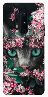 Чехол на OnePlus 8 Pro Кот в цветах фото 1 из 1
