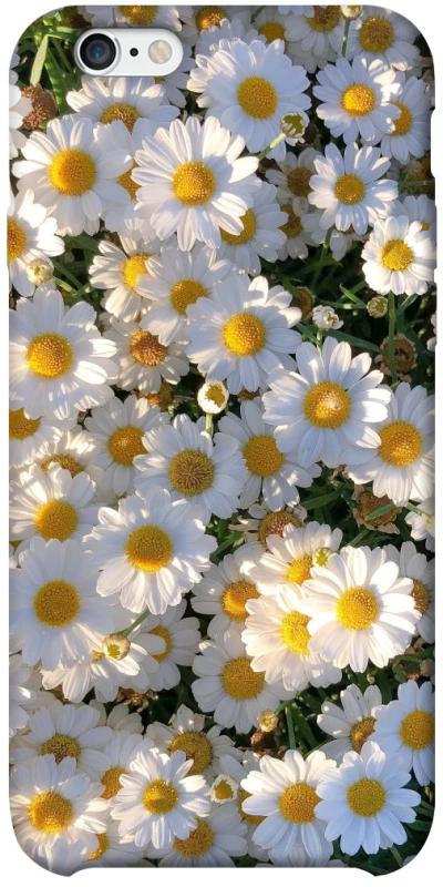 Чохол на Apple iPhone 6/6s plus (5.5") Поле ромашок фото 1 з 1